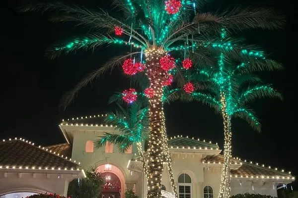 Palm tree with the trunk wrapped in warm white lights, green-lit fronds and red ornament balls, roofline lit behind