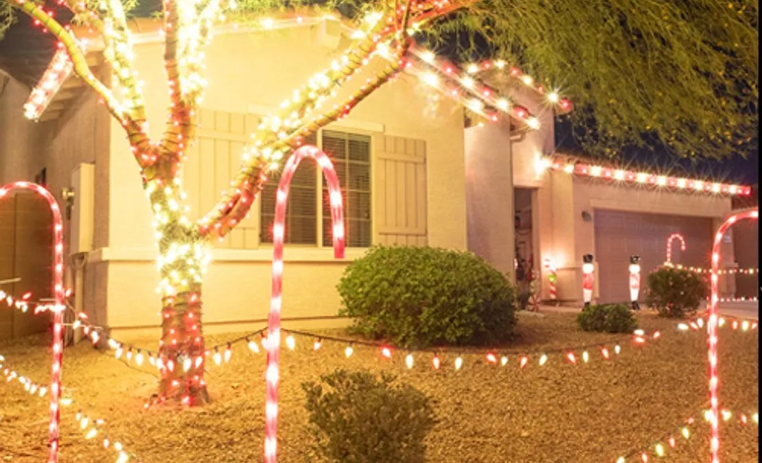 Front-yard tree with trunk and limbs wrapped in warm white mini lights, candy-cane stakes along the walkway